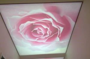 PVC Film moale adecvat pentru imprimare